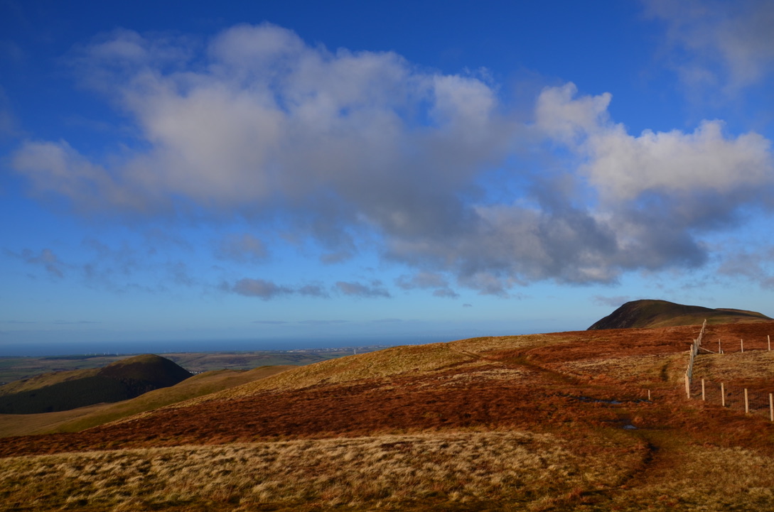 UNADJUSTEDNONRAW_thumb_c84