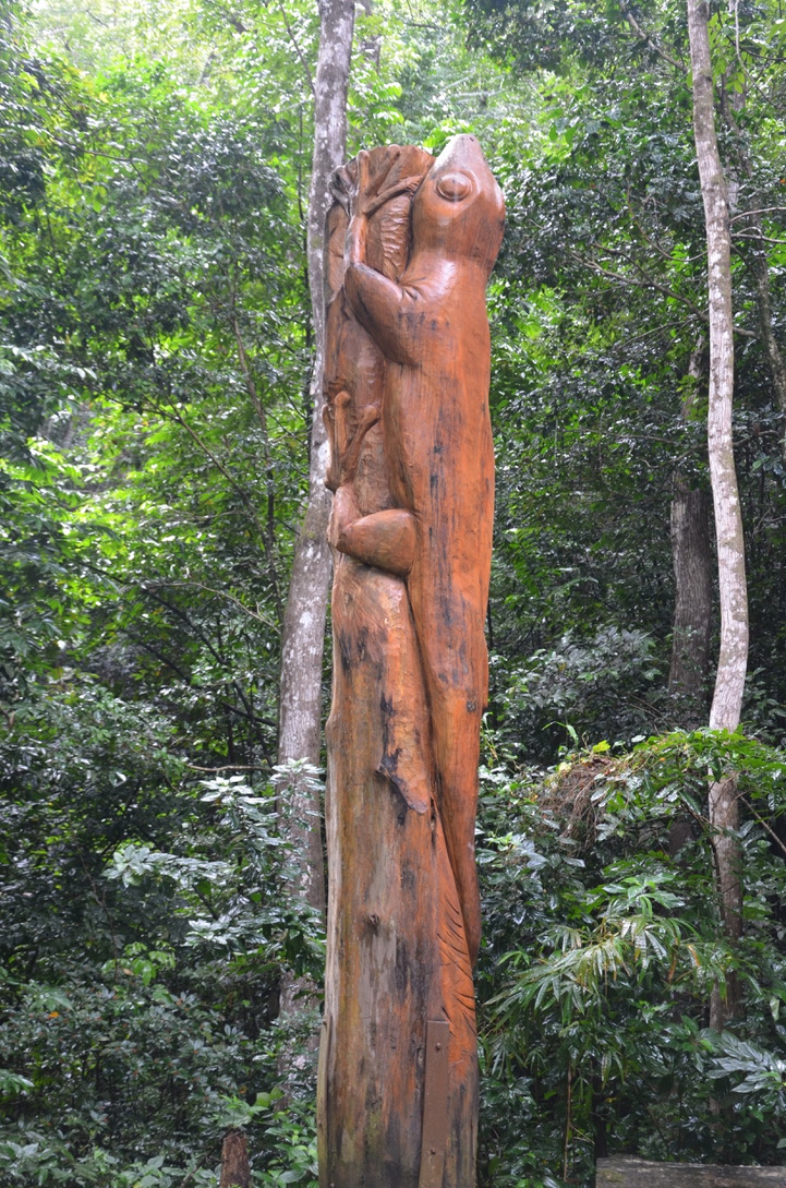Forêt de Montravail, Martinique