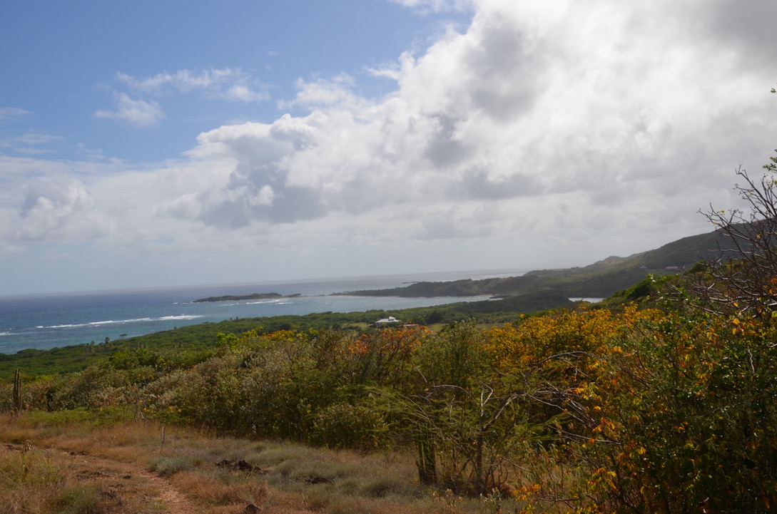Petite Anse de Macabou, Martinique