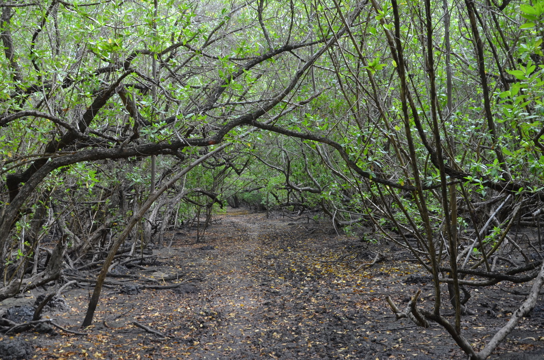 UNADJUSTEDNONRAW_thumb_d93