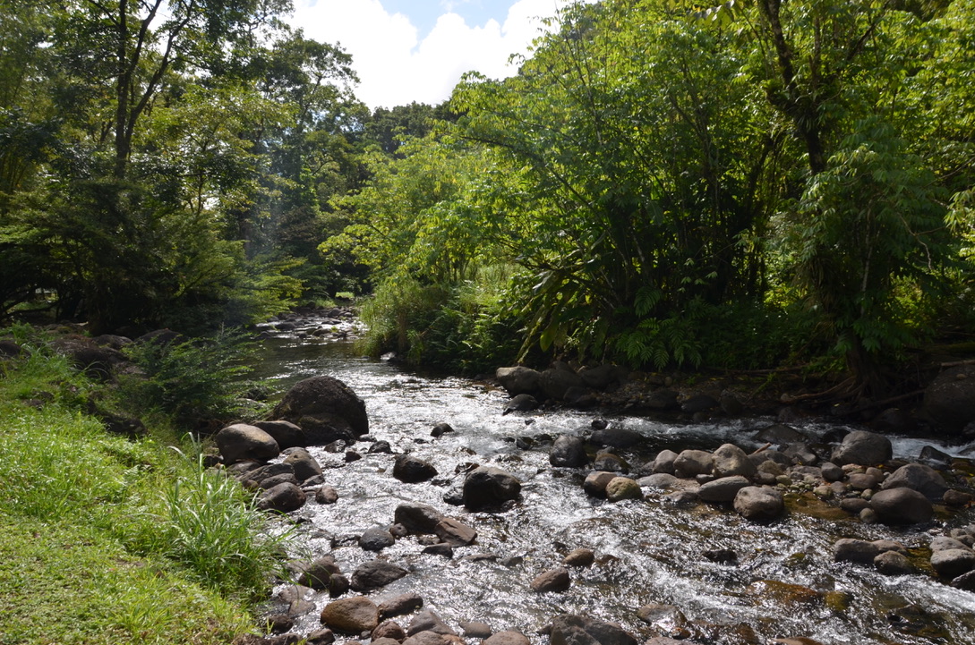 Circuit de Rabuchon, Martinique