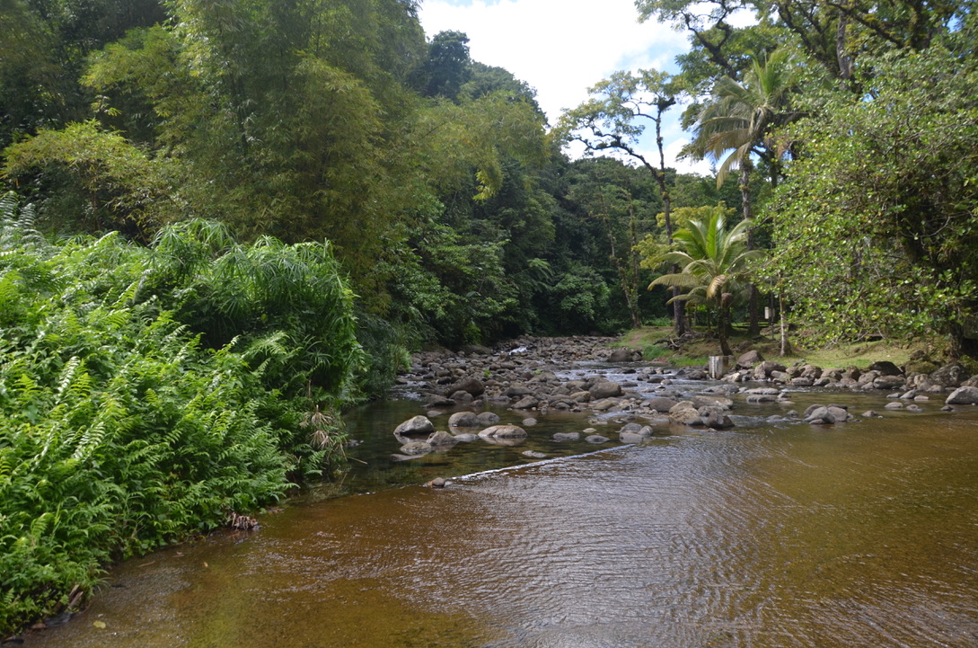 Circuit de Rabuchon, Martinique