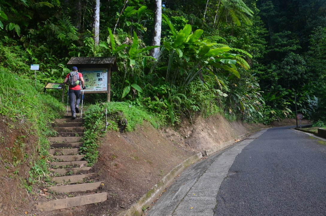 Circuit Absalon Martinique