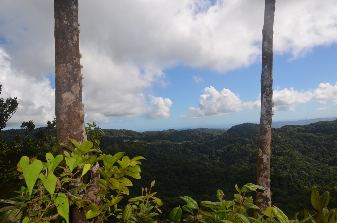 Circuit Absalon Martinique