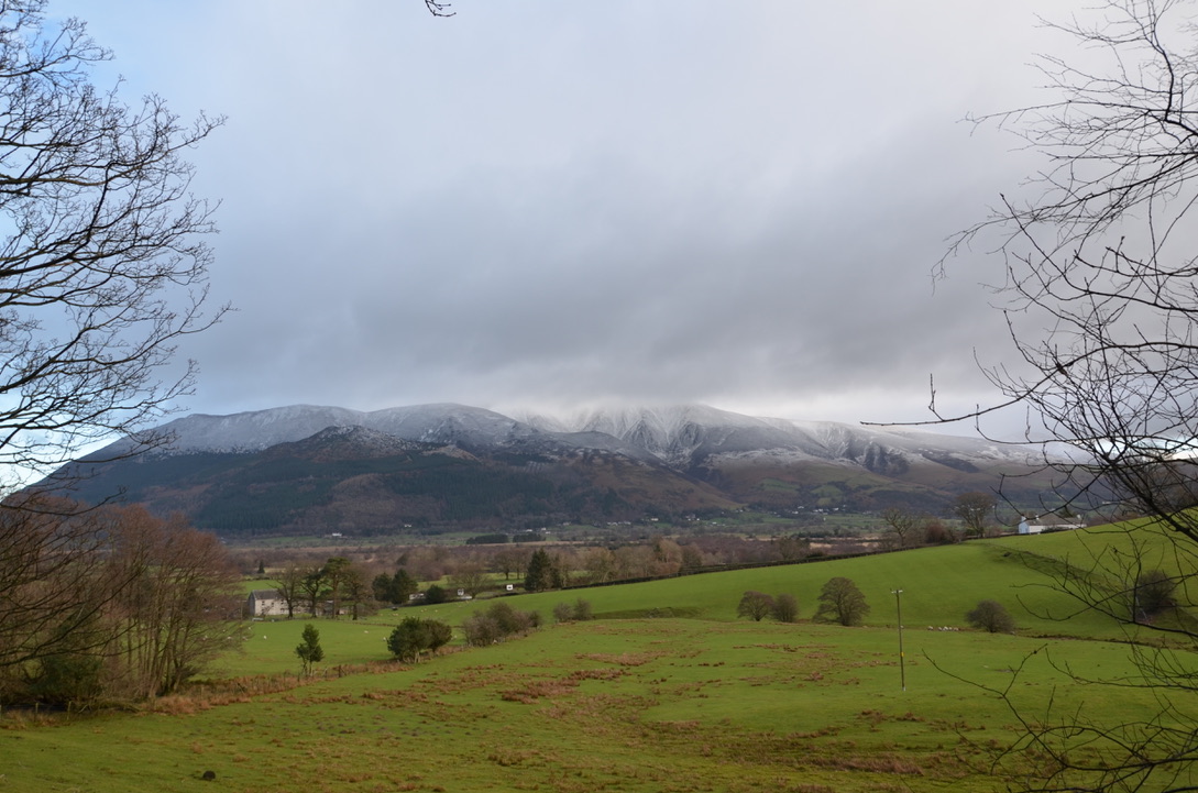 UNADJUSTEDNONRAW_thumb_fa5