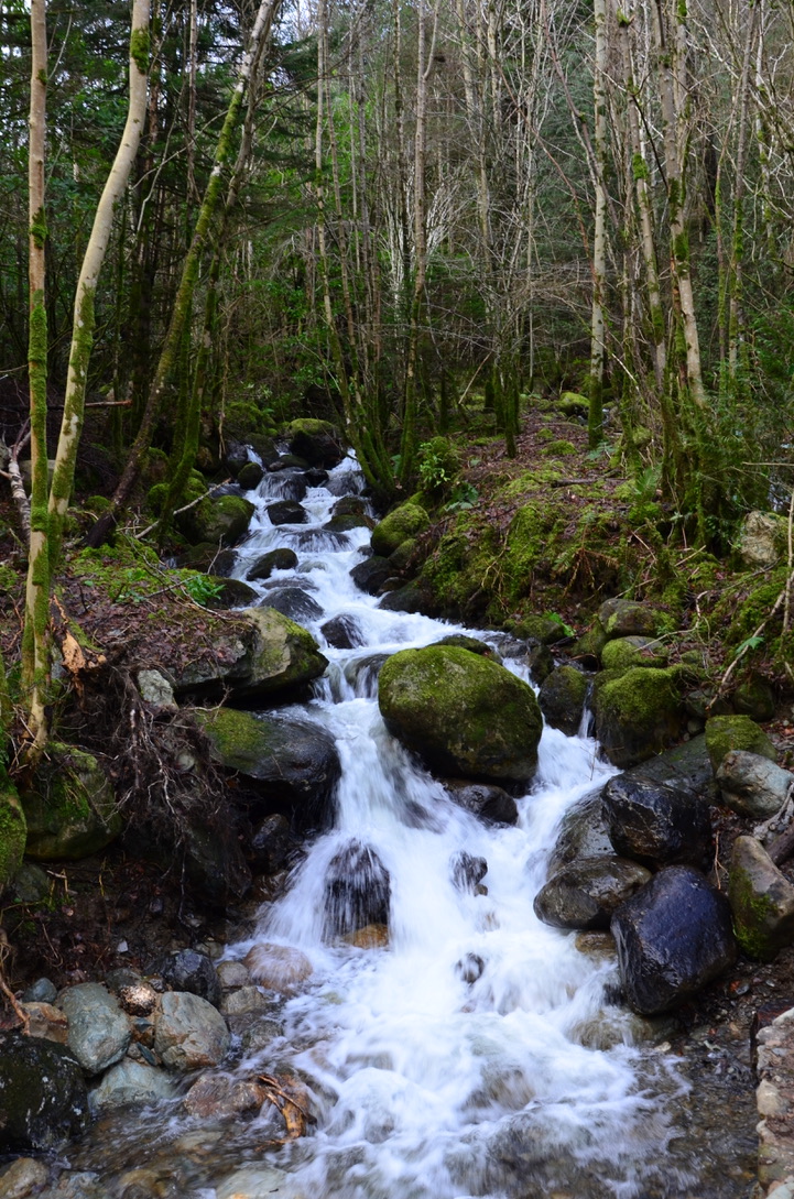 UNADJUSTEDNONRAW_thumb_fa7