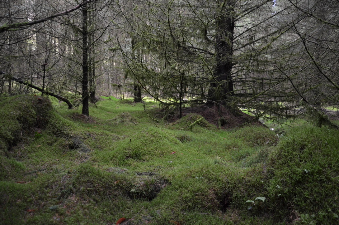 UNADJUSTEDNONRAW_thumb_fb5