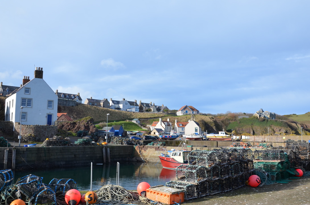 UNADJUSTEDNONRAW_thumb_1024