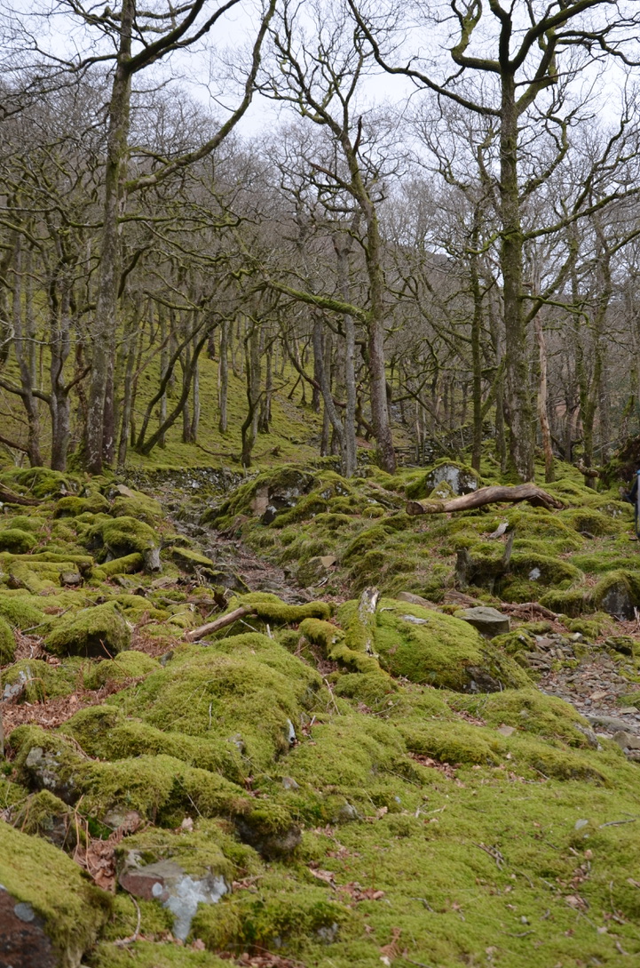 UNADJUSTEDNONRAW_thumb_1071