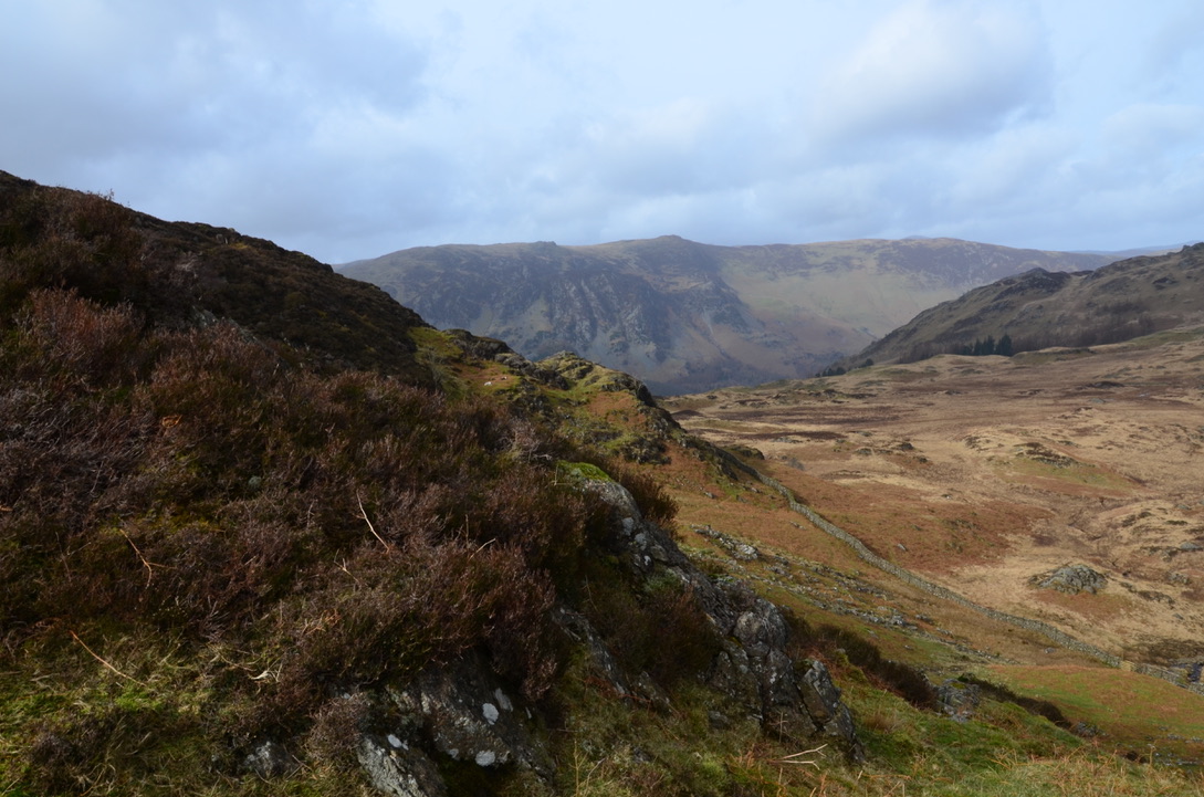 UNADJUSTEDNONRAW_thumb_1081