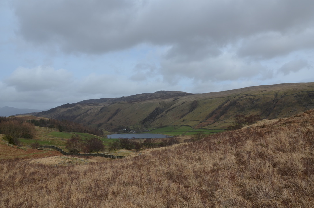 UNADJUSTEDNONRAW_thumb_1086