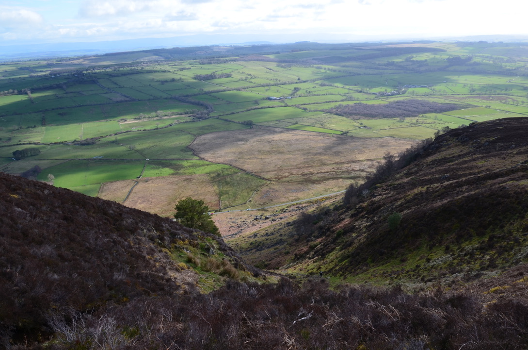 UNADJUSTEDNONRAW_thumb_1129