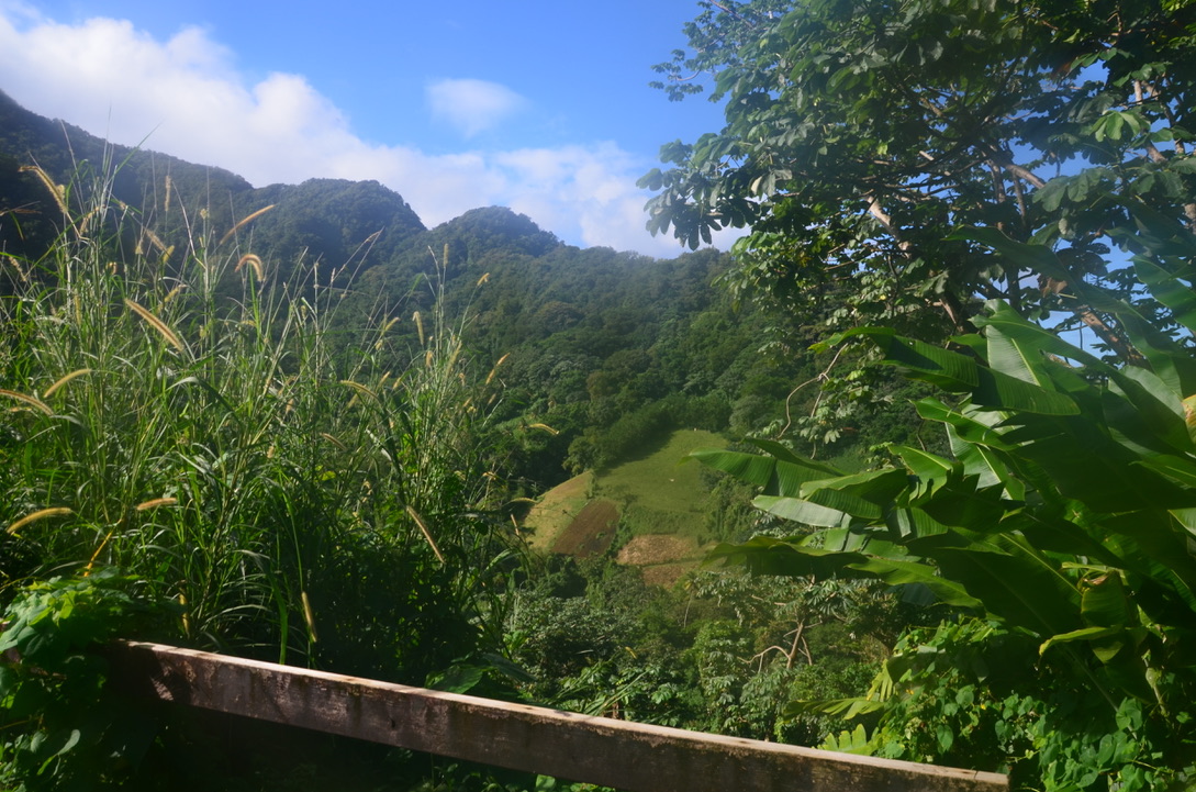 Randonnée Grand'rivière- Anse Couleuvre, Martinique