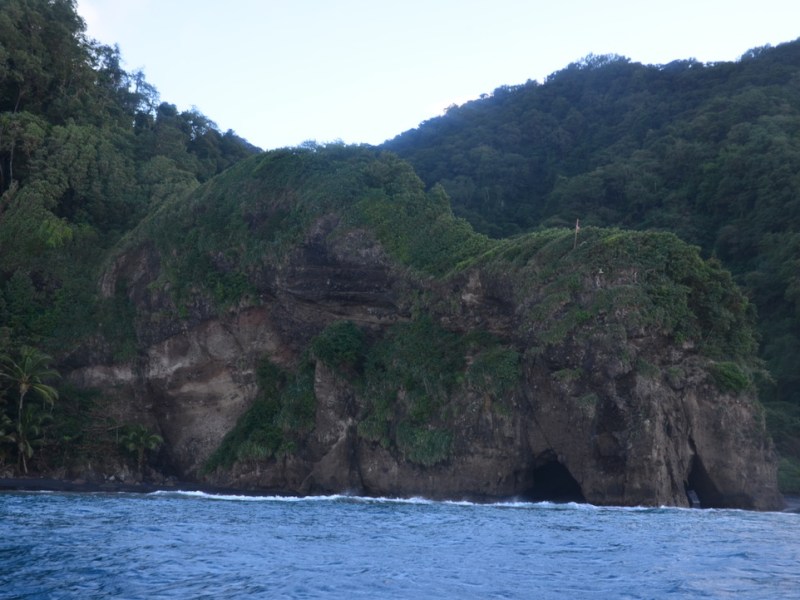 Randonnée Grand’rivière- Anse Couleuvre,&nbsp;Martinique