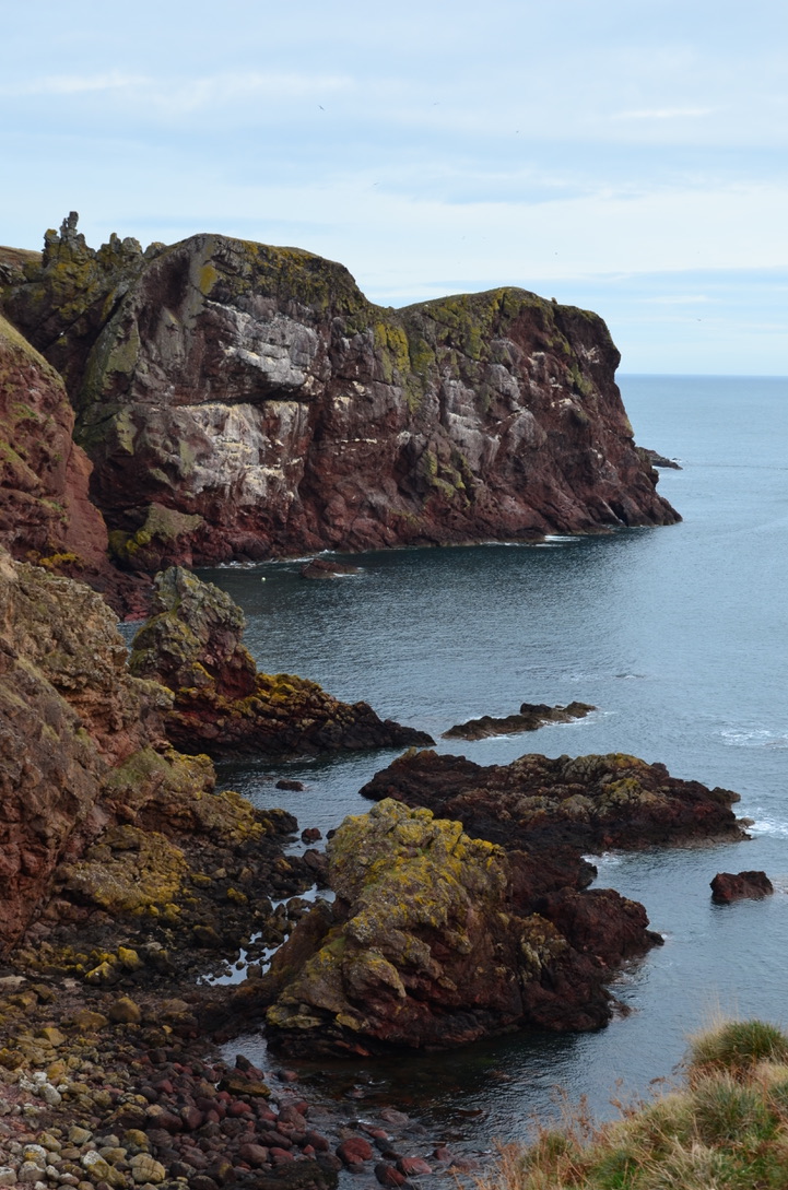 UNADJUSTEDNONRAW_thumb_fe8