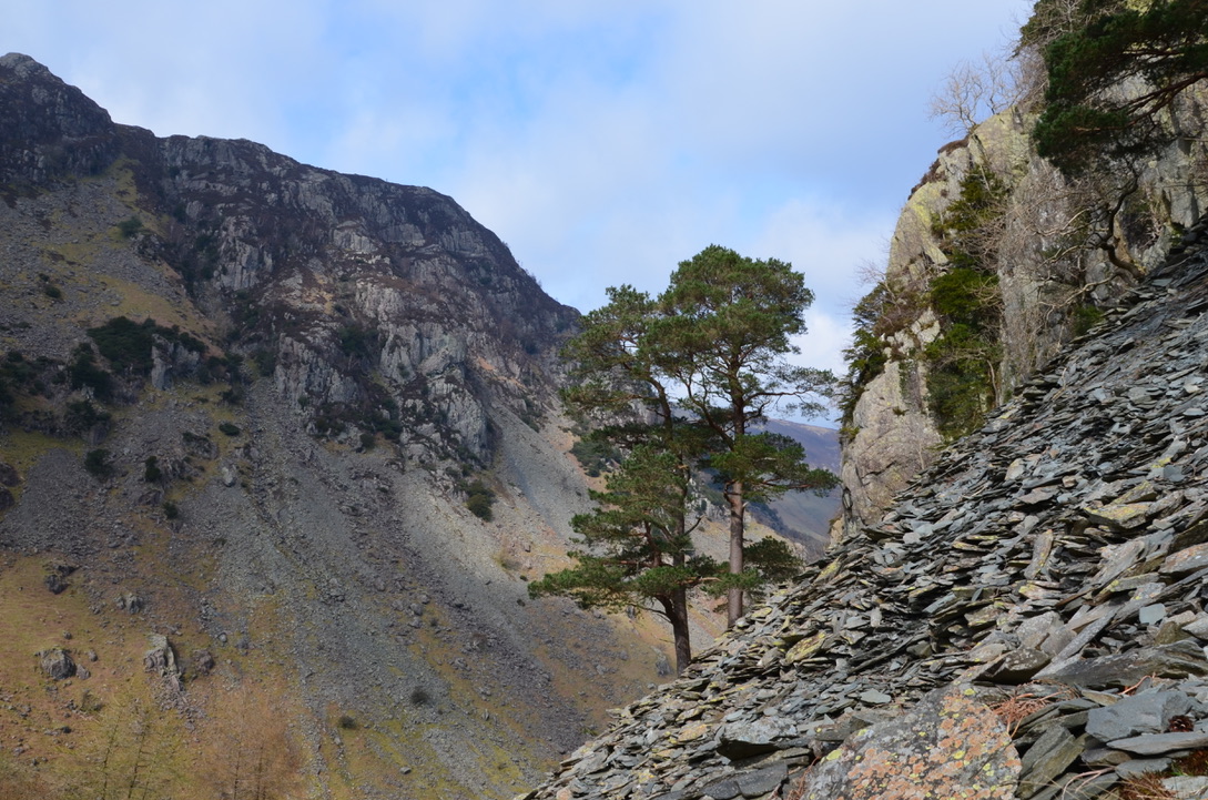 UNADJUSTEDNONRAW_thumb_1172