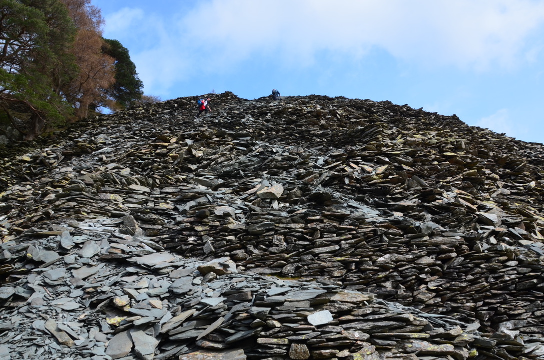 UNADJUSTEDNONRAW_thumb_1173