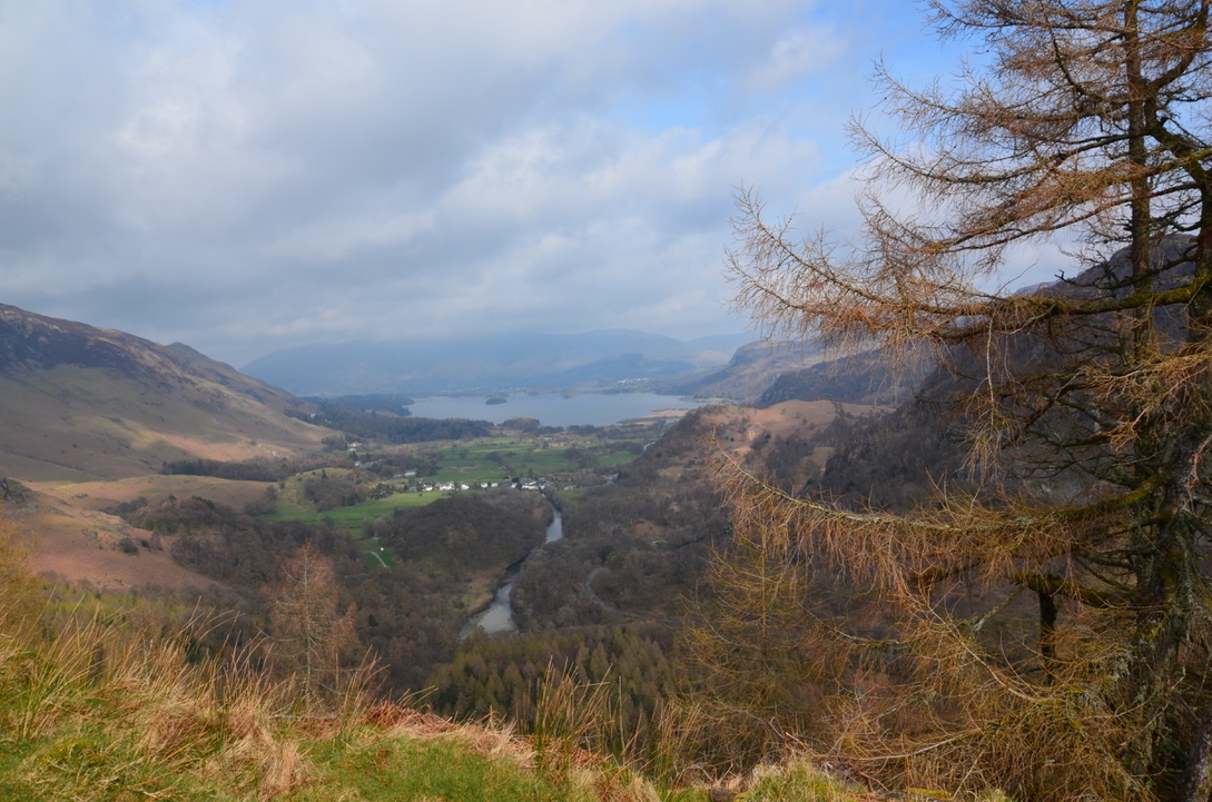 UNADJUSTEDNONRAW_thumb_1182