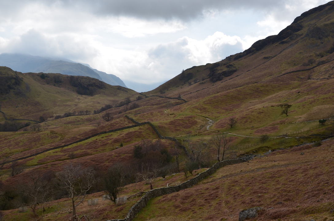 UNADJUSTEDNONRAW_thumb_1192