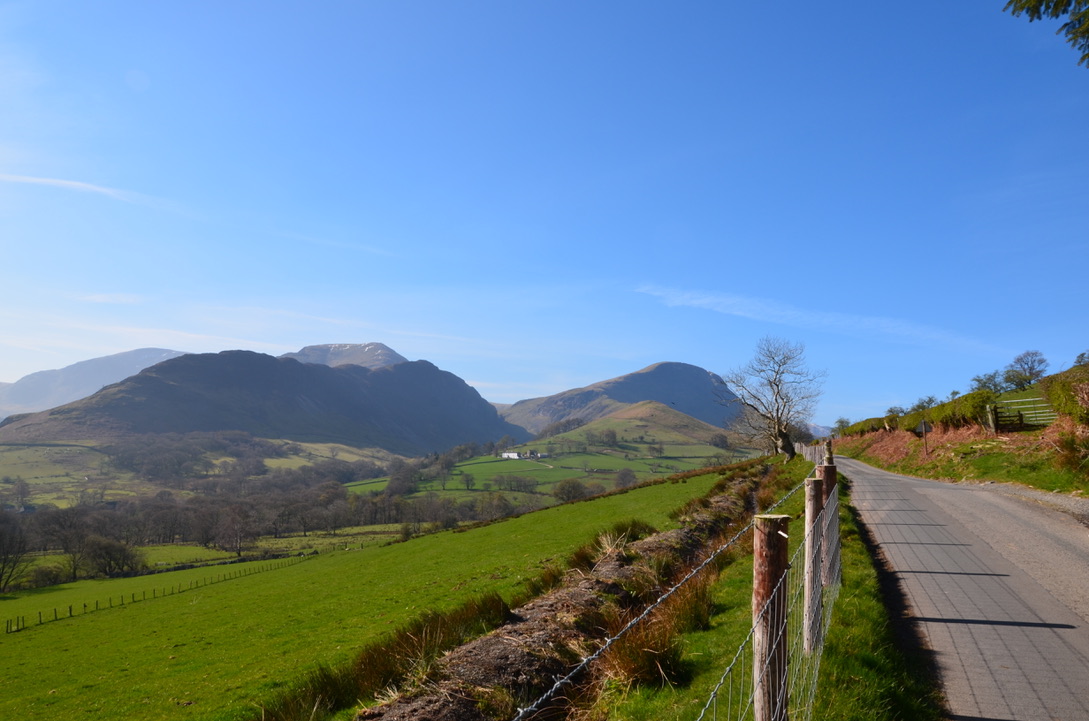 UNADJUSTEDNONRAW_thumb_11bc