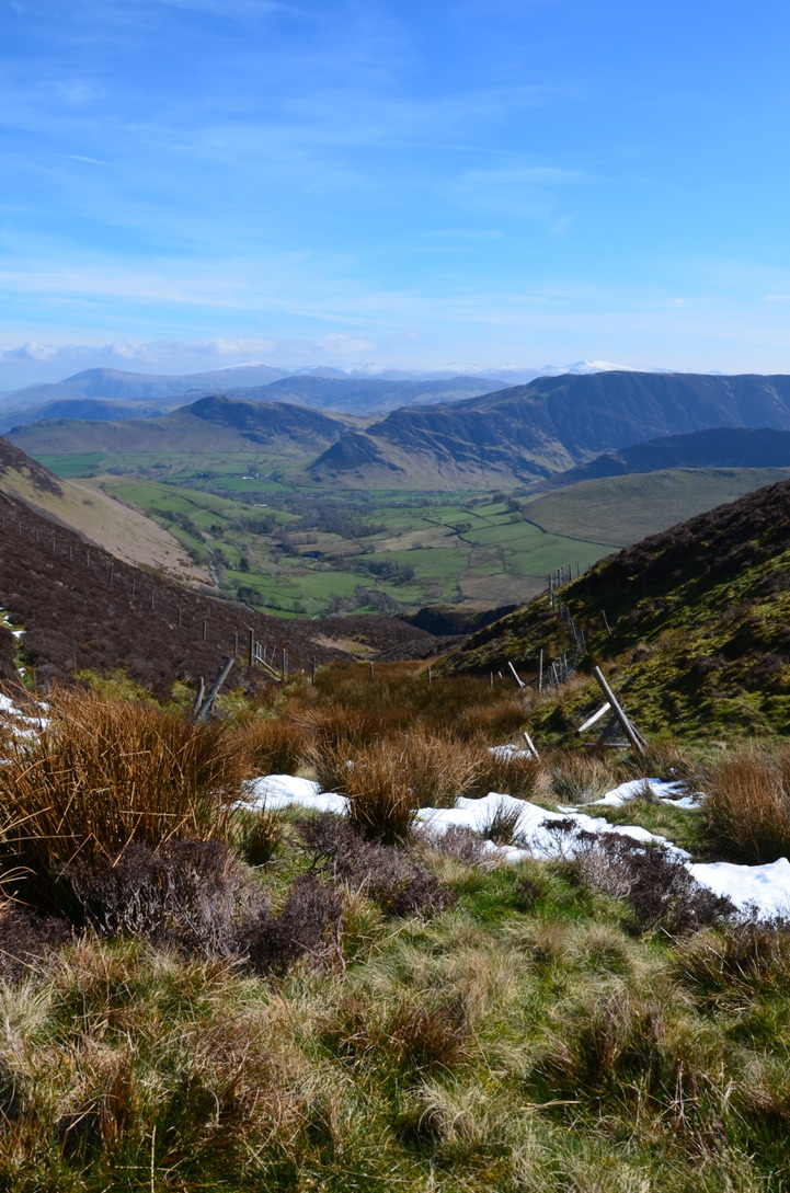 UNADJUSTEDNONRAW_thumb_11cf