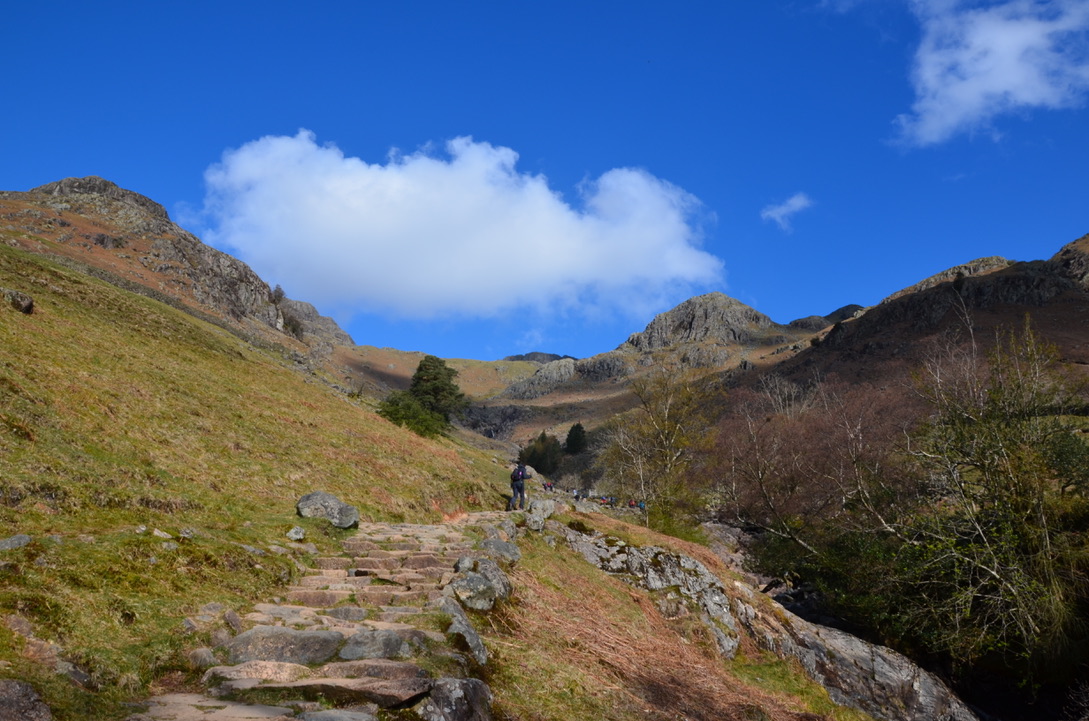 UNADJUSTEDNONRAW_thumb_11df