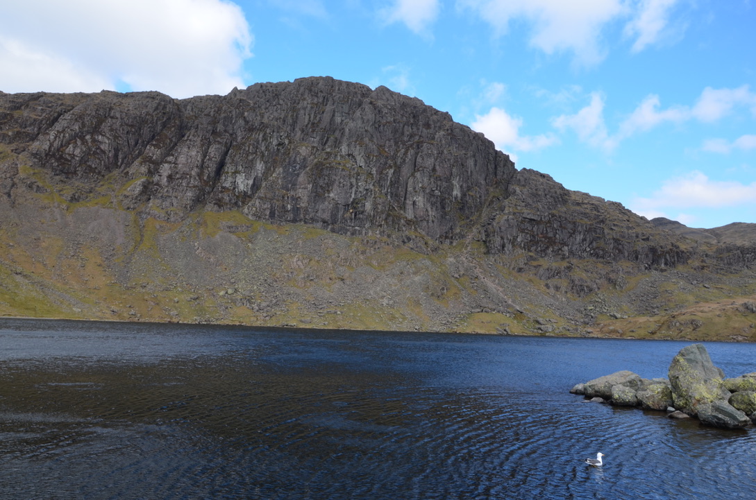 UNADJUSTEDNONRAW_thumb_11e8