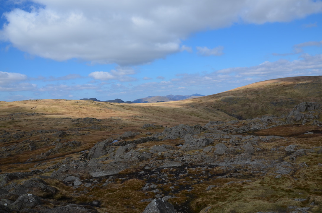 UNADJUSTEDNONRAW_thumb_1205