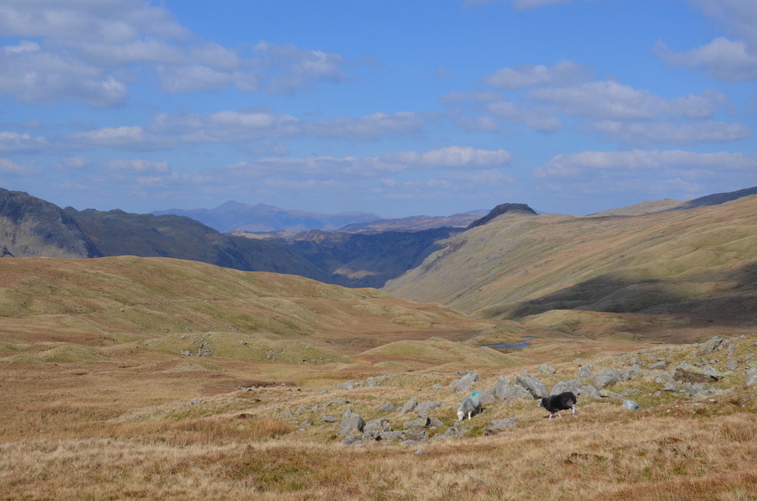 UNADJUSTEDNONRAW_thumb_1213