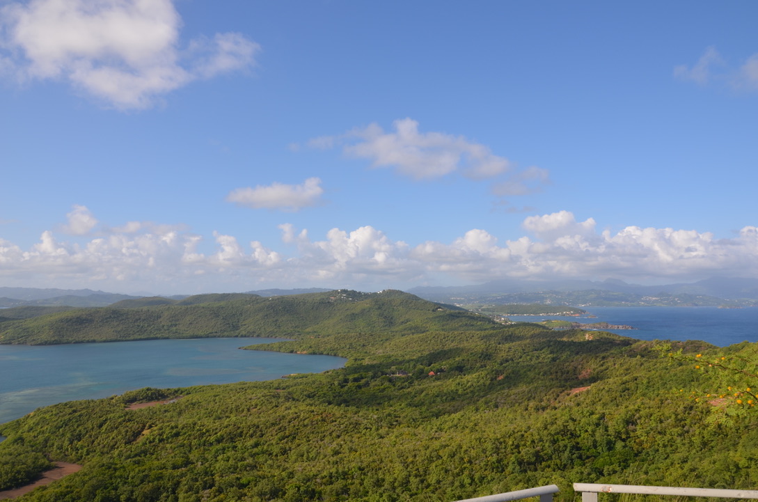 Circuit de la Caravelle, Martinique