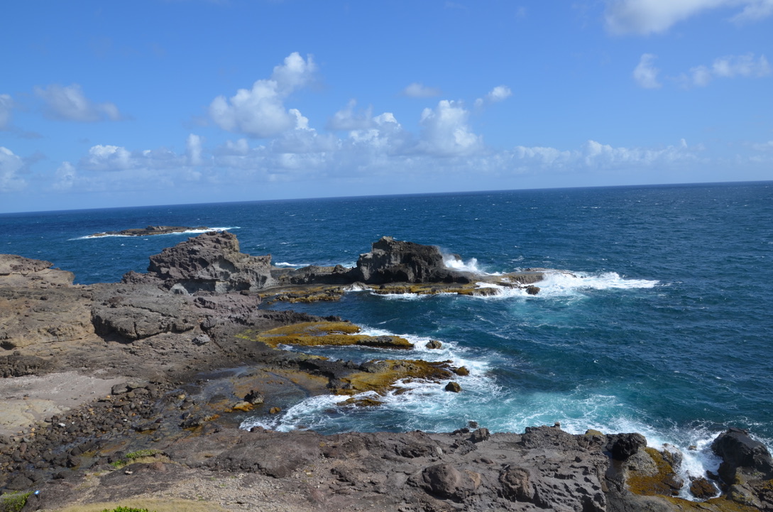 Circuit de la Caravelle, Martinique