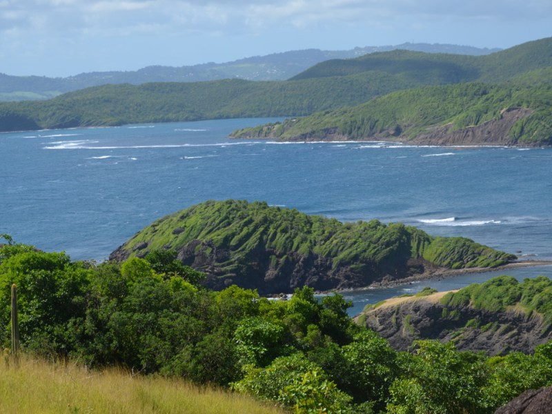 Randonnée Circuit de la Caravelle –&nbsp;Martinique