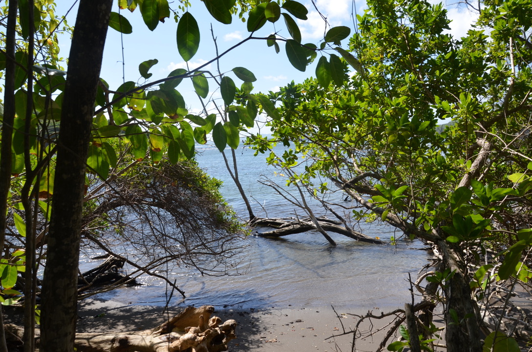 Circuit de la Caravelle, Martinique