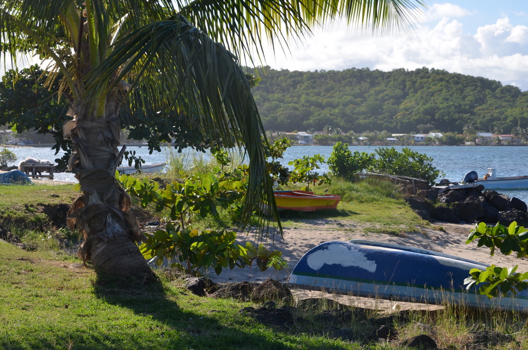 Circuit de la Caravelle, Martinique