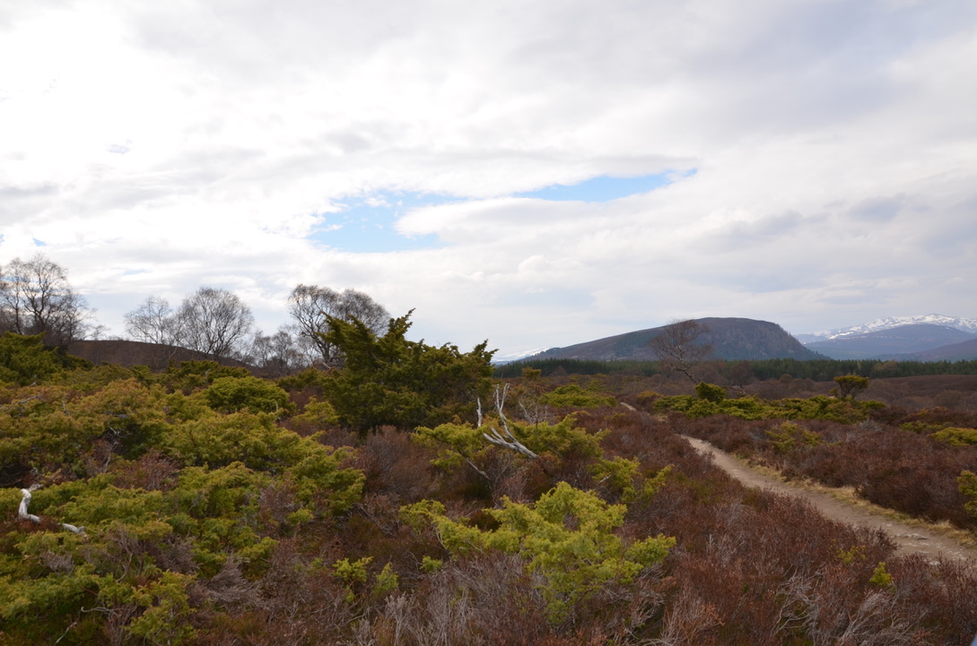 UNADJUSTEDNONRAW_thumb_128a