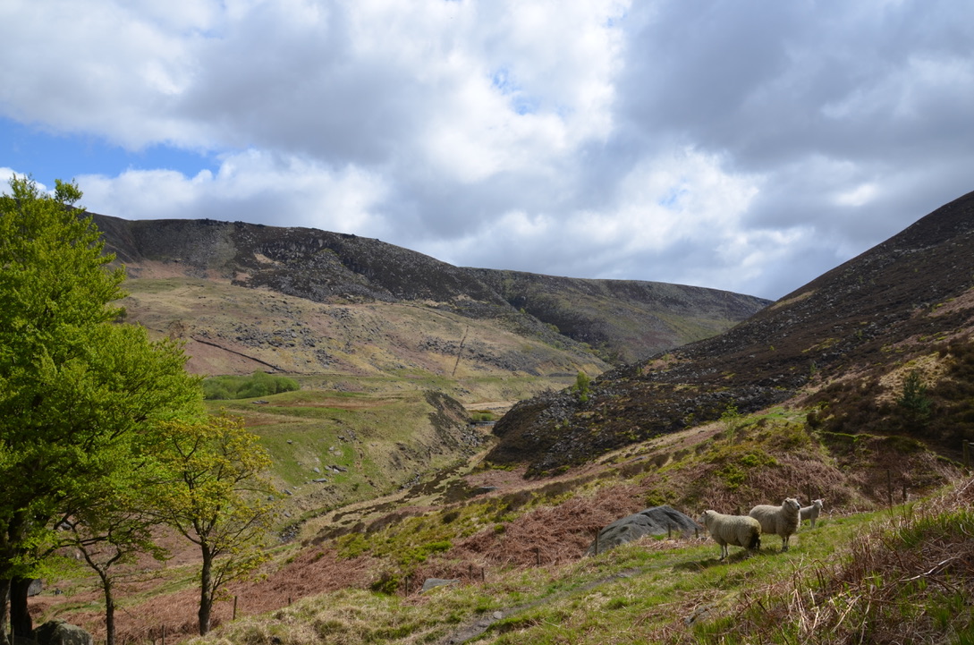 UNADJUSTEDNONRAW_thumb_12c9