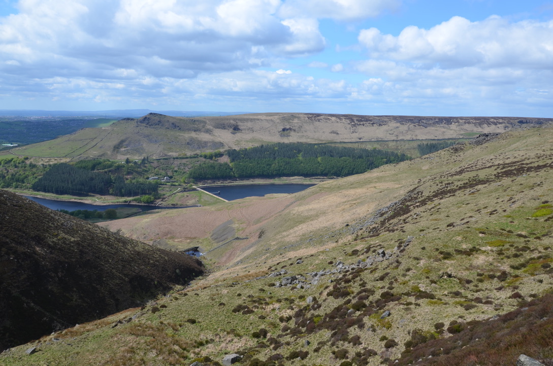 UNADJUSTEDNONRAW_thumb_12e0