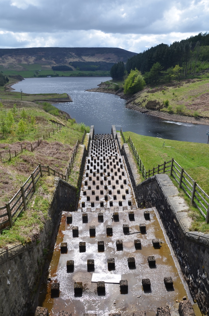 UNADJUSTEDNONRAW_thumb_12e5