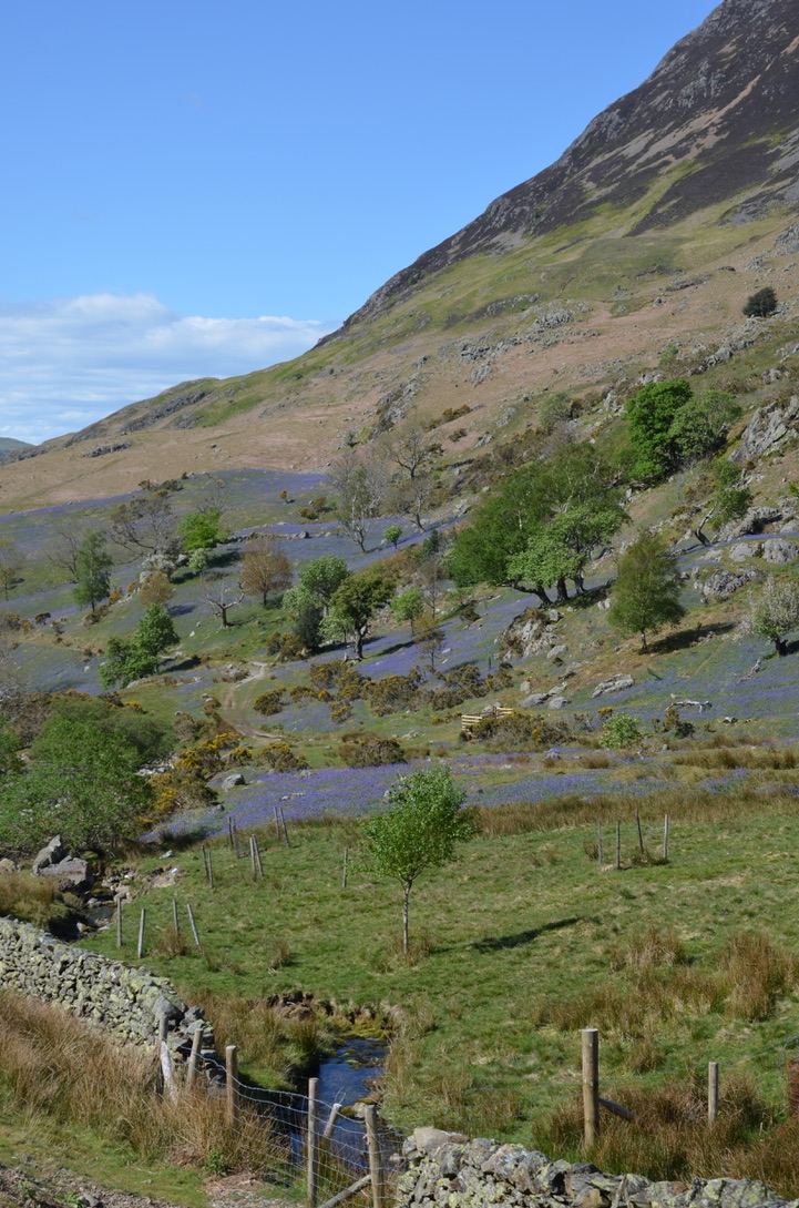 UNADJUSTEDNONRAW_thumb_1313