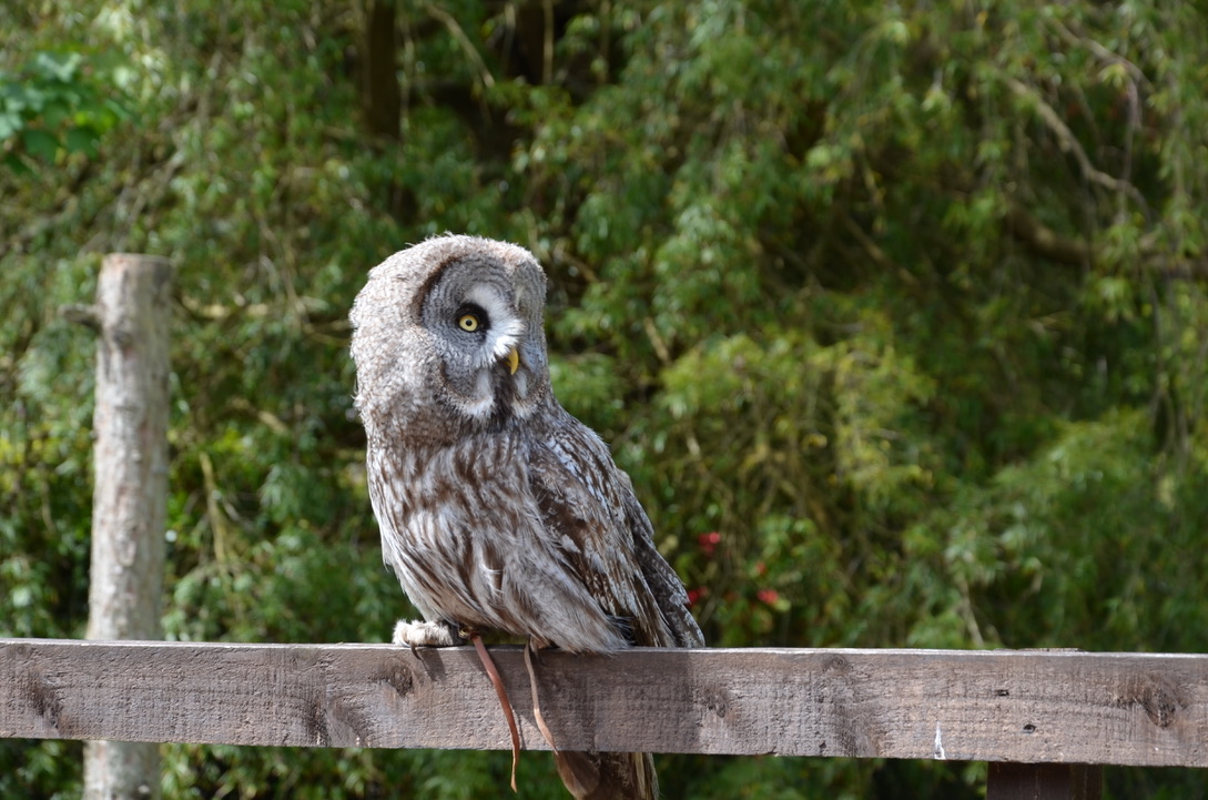 UNADJUSTEDNONRAW_thumb_133c