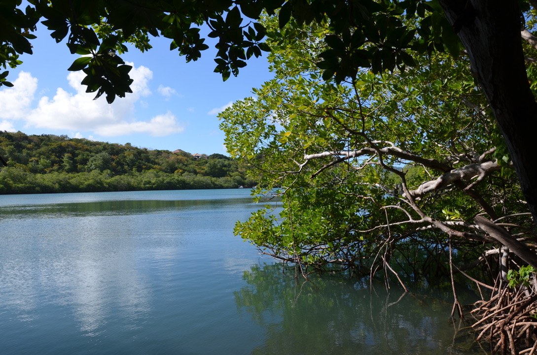 boucle du Vauclin, Martinique