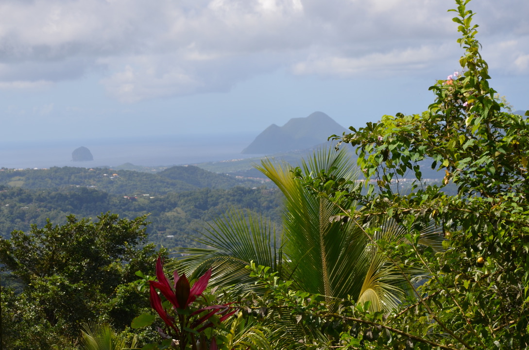 Montagne du Vauclin, Martinique