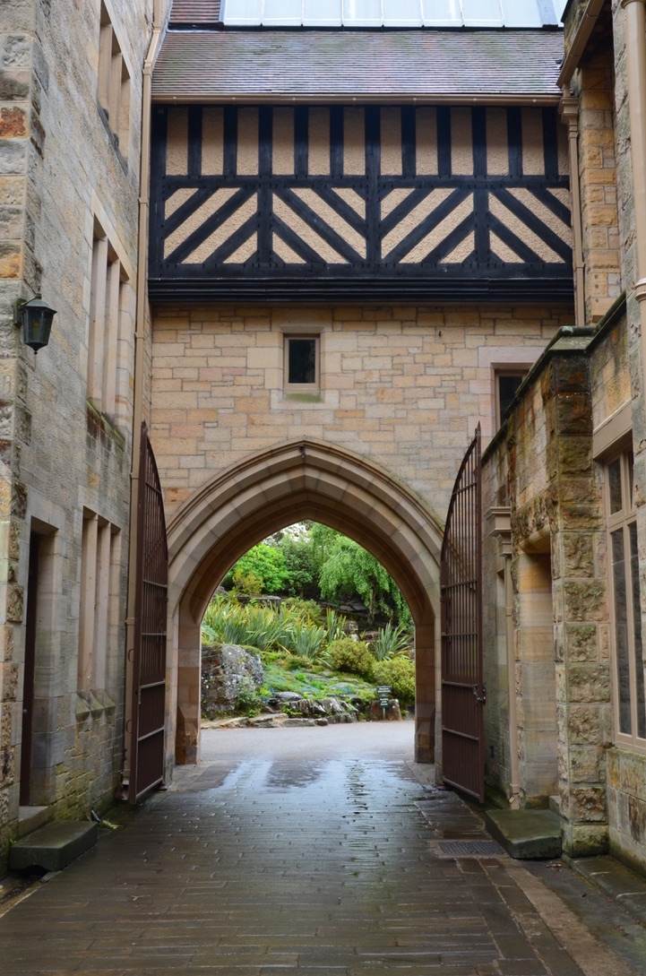 UNADJUSTEDNONRAW_thumb_137f