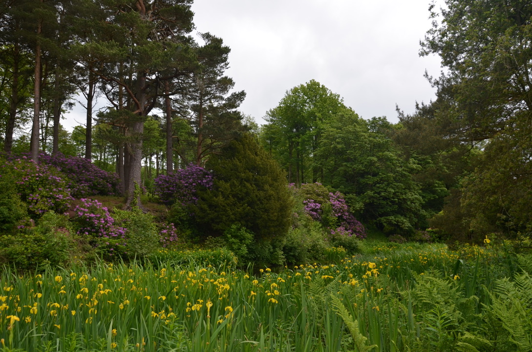 UNADJUSTEDNONRAW_thumb_13d5