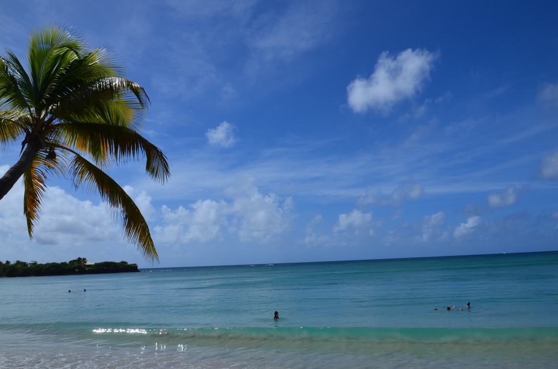 Anse des salines, Martinique