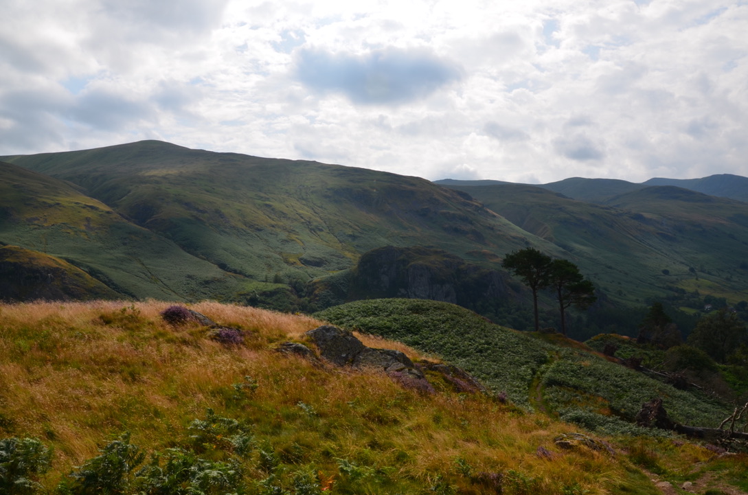 UNADJUSTEDNONRAW_thumb_15f3