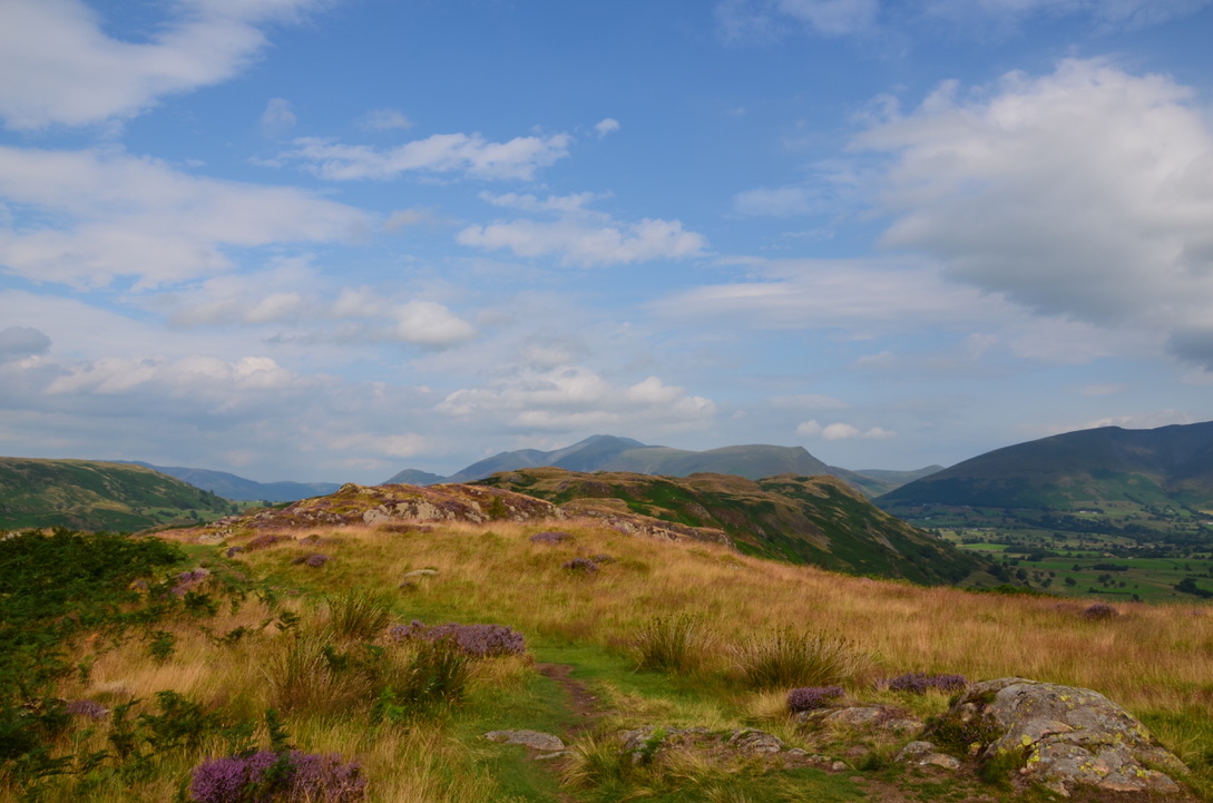 UNADJUSTEDNONRAW_thumb_15f4