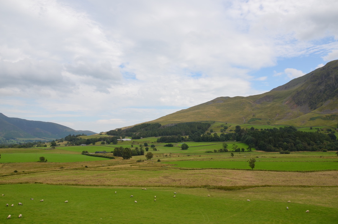 UNADJUSTEDNONRAW_thumb_1600