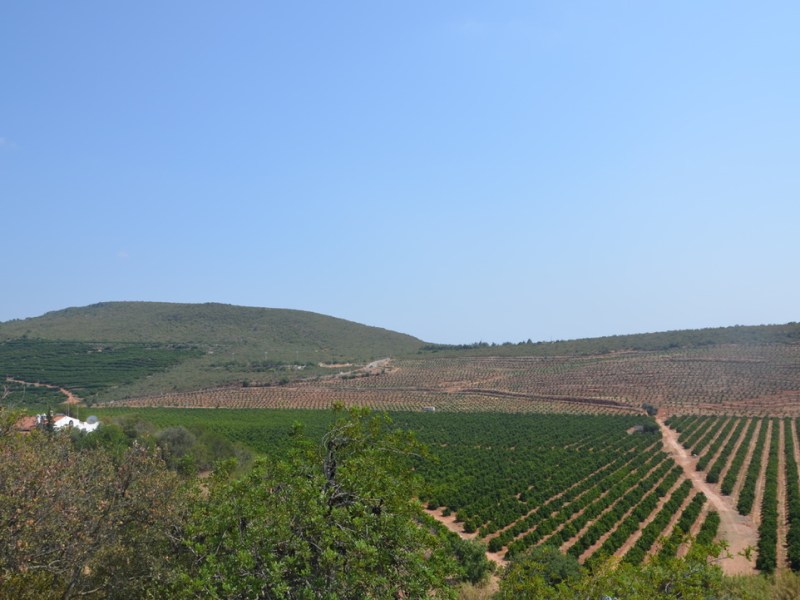 Road trip autour de Loulé, Algarve,&nbsp;Portugal