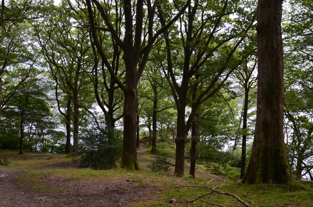 Wray Castle, Cumbria